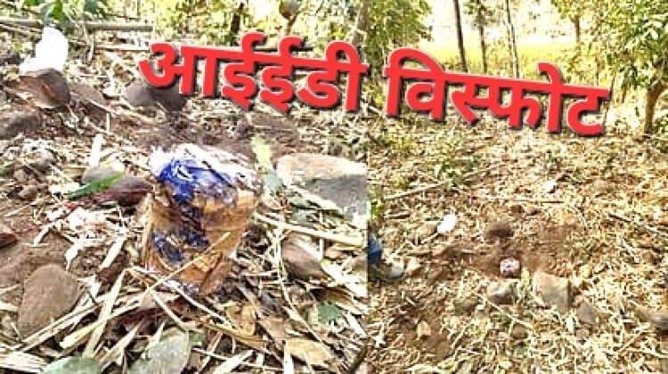 ब्रेकिंग : बीजापुर आईईडी ब्लास्ट, CRPF जवान आया ब्लास्ट की चपेट में रायपुर रेफर