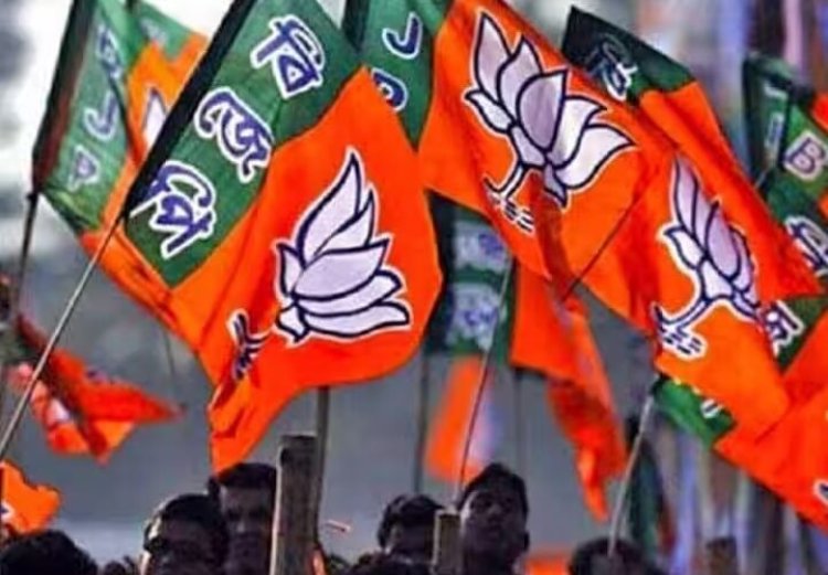 BREAKING : लोकसभा चुनाव के मद्देनजर छत्तीसगढ़ भाजपा ने की चुनाव प्रबंध समिति की घोषणा...जानें किन्हें मिली जिम्मेदारी