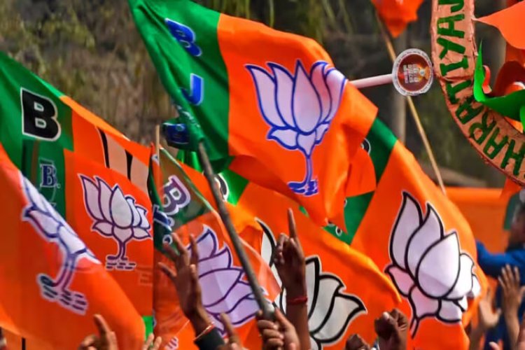 CG NEWS: लोकसभा चुनाव 2024 : छत्तीसगढ़ BJP में समन्वयक-सह समन्वयकों की नियुक्ति...इन पूर्व मंत्रियों-सांसदों को मिली जिम्मेदारी
