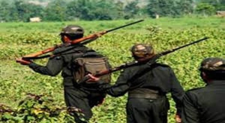 छत्तीसगढ़ - कुरियर बॉय चढ़ा पुलिस के हत्थे...नक्सलियों को करता था कैश व अन्य सामानों का सप्लाई