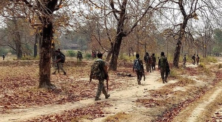 CG ब्रेकिंग : जंगल में नक्सलियों और जवानों के बीच हुई मुठभेड़...सर्चिंग जारी