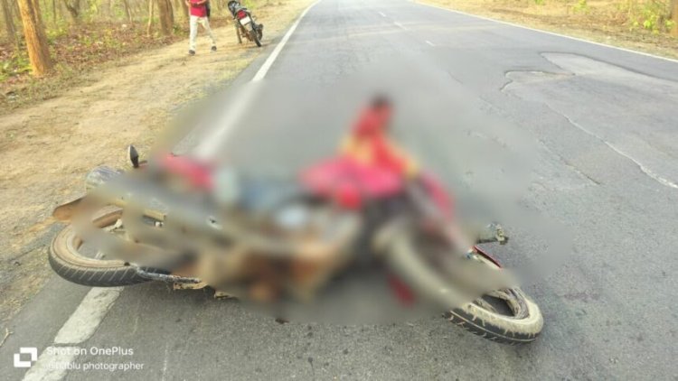 दर्दनाक हादसा : अज्ञात वाहन की चपेट में आने से एक युवक का सिर धड़ से अलग...दो गंभीर रूप से घायल