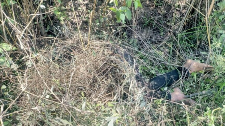 CG NEWS : बाय पास सड़क में मिली युवती की लाश, हत्या की आशंका, इलाके में फैली सनसनी