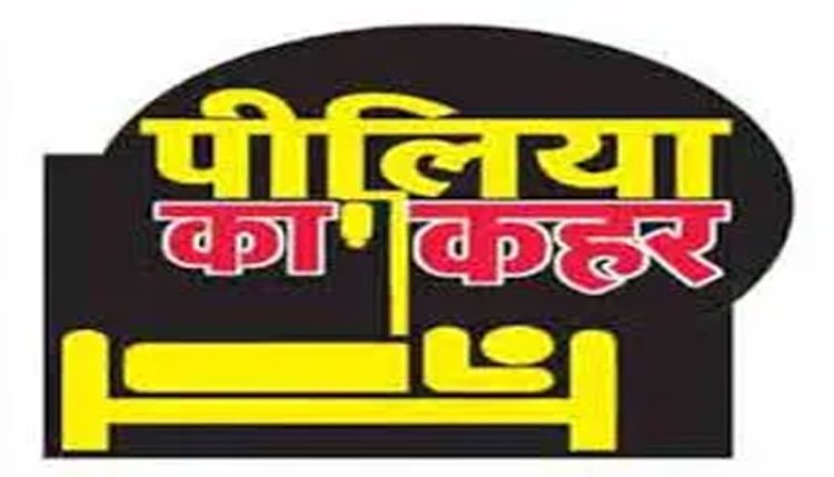 न्यायधानी में पीलिया का प्रकोप...चार दिनों में मिले 25 से अधिक मरीज