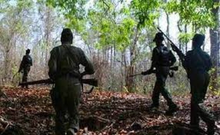 छत्तीसगढ़-महाराष्ट्र बॉर्डर पर जवानों और नक्सलियों के बीच मुठभेड़, पांच नक्सली ढ़ेर