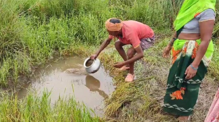 BREAKING: एक ही परिवार के 4 बैगाओं की मौत...जानिए क्या है पूरा मामला