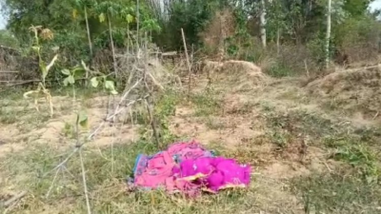 Attack : छत्तीसगढ़ में 24 घंटे के अंदर हाथी ने तीन लोगों को कुचला, ग्रामीणों में दहशत का माहौल