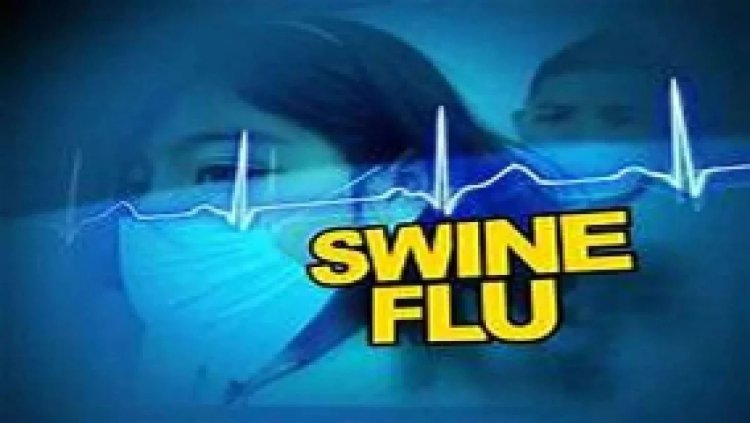 छत्तीसगढ़ में स्वाइन फ्लू का कहर, 15 दिनों में 6 लोगो की मौत…