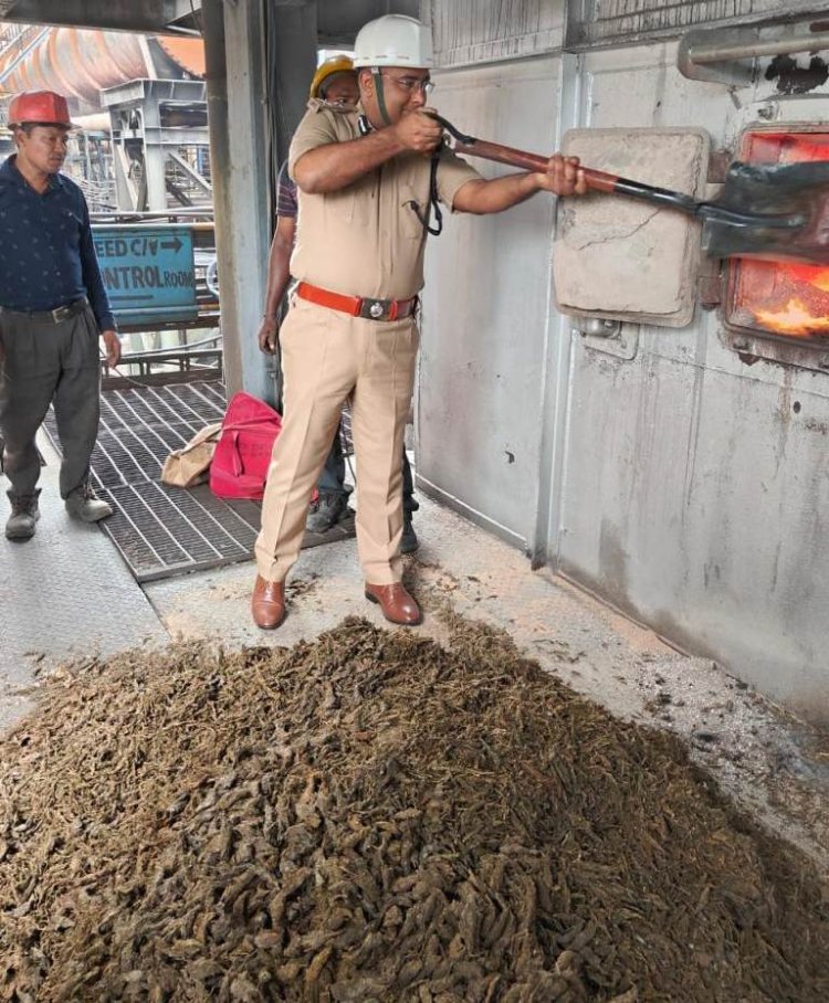 सैकड़ों क्विंटल गांजा रायपुर पुलिस ने आग के हवाले कर किया नष्ट...