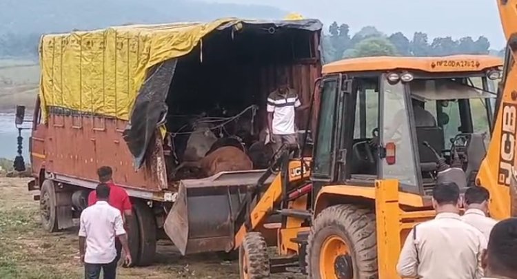 BREAKING: मवेशियों से भरे ट्रक से टकराया दूसरा ट्रक, 40 मवेशियों की मौत