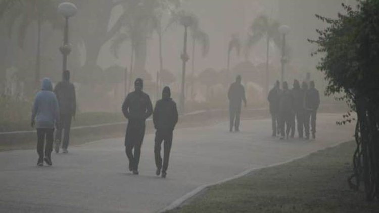 छत्तीसगढ़ में रात में दिखने लगा ठंड का असर, अगले 48 घंटे में और गिरेगा पारा, जानें रायपुर का हाल