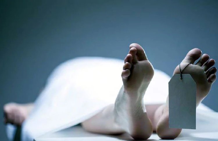 OMG : वेब सीरीज देखकर शख्स ने रची अपने ही मौत की साजिश, फिर जो हुआ…