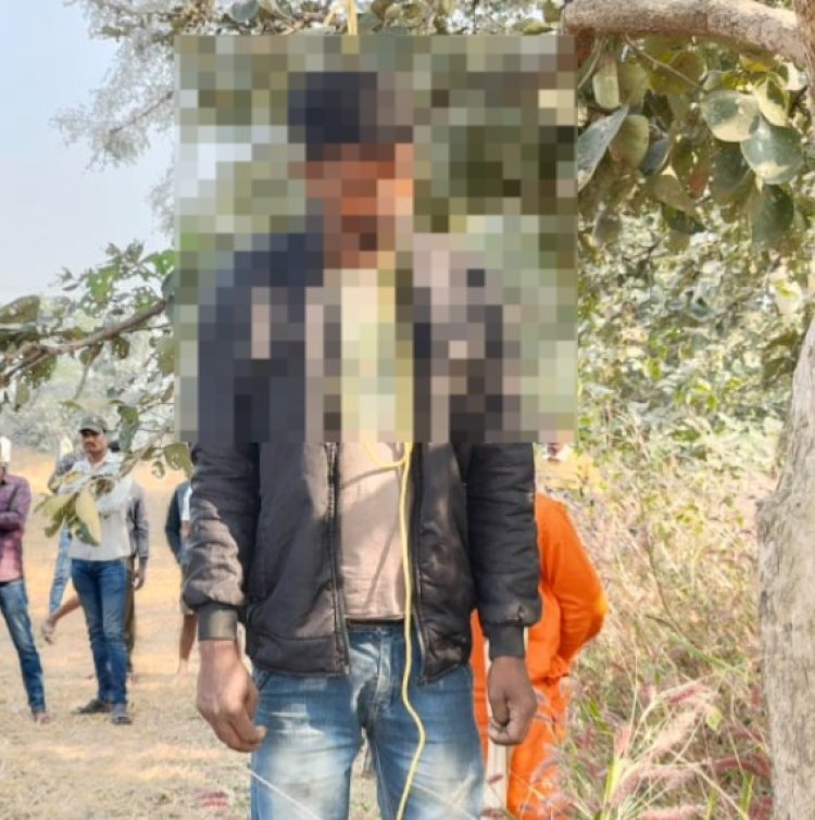CG : युवक की पेड़ से झूलती मिली लाश, मल्हार चौकी क्षेत्र का मामला, पुलिस कर रही मामले की जांच