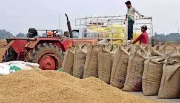 छत्तीसगढ़ में अबतक 74.60 लाख मीट्रिक टन धान की हुई खरीदी, किसानों को 16 हजार 785 करोड़ रूपए से अधिक का भुगतान
