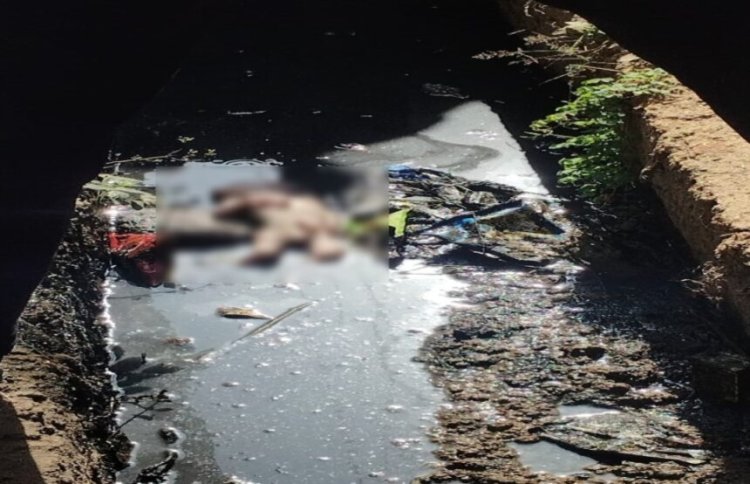 BREAKING: इंसानियत हुई शर्मसार, नाले में मिली नवजात की लाश, इलाके में फैली सनसनी