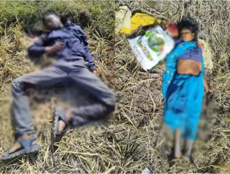 ब्रेकिंग :- पत्रकार के परिवार पर कुल्हाड़ी से हमला, माता-पिता और भाई की मौत