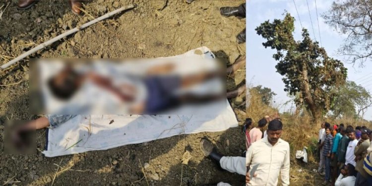 CG NEWS : गिलहरी पकड़ने पेड़ पर चढ़े बच्चे की दर्दनाक मौत, 11 केवी तार की चपेट में आने से हुआ हादसा