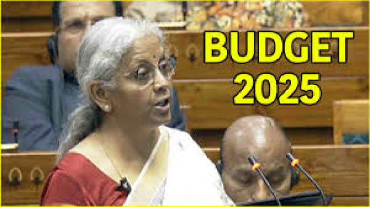 Budget 2025: निर्मला सीतारमण ने पेश किया बजट, किसानों और आम आदमी के लिए बड़ी घोषणाएं
