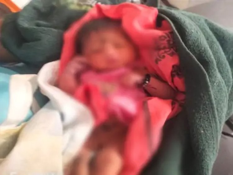 ममता हुई शर्मसार : राजधानी में 2 महीने की मासूम को झाड़ियों में फेंक गई निर्दयी मां, ऐसे पड़ी लोगों की नजर