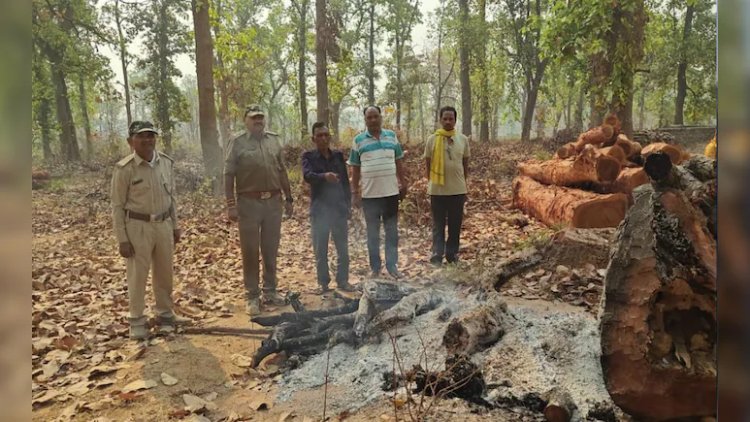 CG ब्रेकिंग – जंगल में मिले अधजले शव के टुकड़े और चूड़ियां, जताई जा रही ये आशंका, जांच में होंगे कई बड़े खुलासे…..
