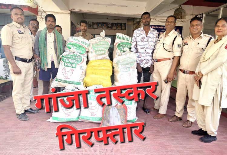 नशे के सौदागरों पर बस्तर पुलिस की बड़ी कार्यवाही गांजा सप्लाई करने वाले अंतर्राज्यीय गिरोह को बोधघाट पुलिस ने किया गिरफ्तारउड़ीसा 