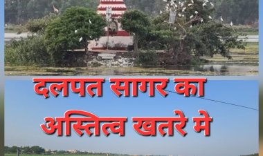 आरोप-प्रत्यारोप के बीच दम तोड़ता दलपत सागर! जलकुंभी से पट गया बस्तर का ऐतिहासिक धरोहर,  शहरवासियों की महापौर से बड़ी उम्मीद