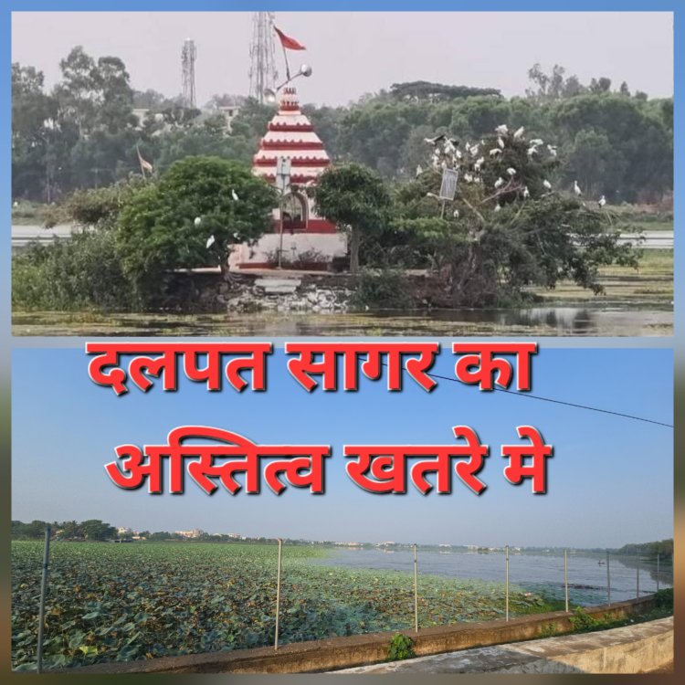 आरोप-प्रत्यारोप के बीच दम तोड़ता दलपत सागर! जलकुंभी से पट गया बस्तर का ऐतिहासिक धरोहर,  शहरवासियों की महापौर से बड़ी उम्मीद