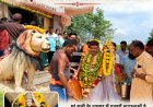 हरियाली अमावस्या पर करकापाल में उमड़ा आस्था का सैलाब मां सती के दरबार में हजारों श्रद्धालुओं ने टेका माथा, मनोकामना पूरी होने पर श्रद्धालुओं ने चढ़ाया चढ़ावा