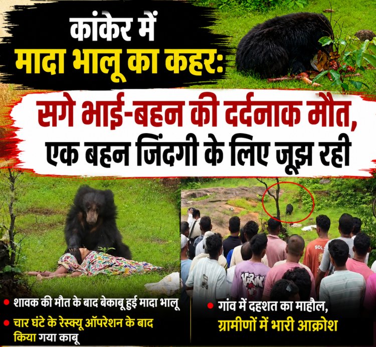 कांकेर में मादा भालू का कहर: सगे भाई-बहन की दर्दनाक मौत, एक बहन जिंदगी के लिए जूझ रही चार घंटे बाद वन विभाग ने किया रेस्क्यू